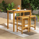 2-Day Delivery Rectangular Indoor and Outdoor Bar Height Table for Garden
